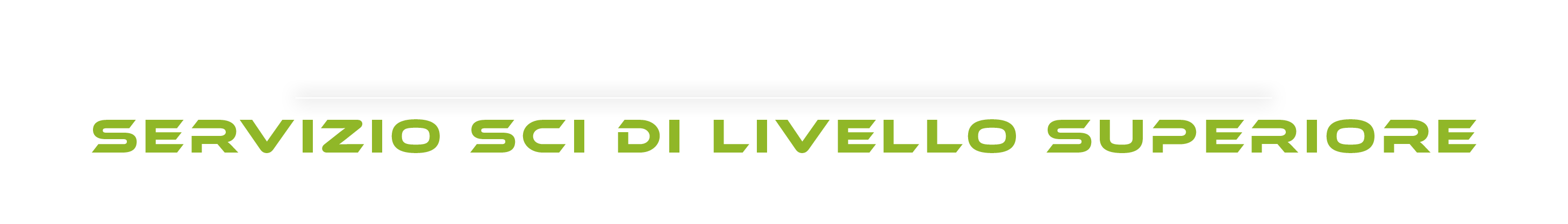 jupiter-next-level-ski-service-it